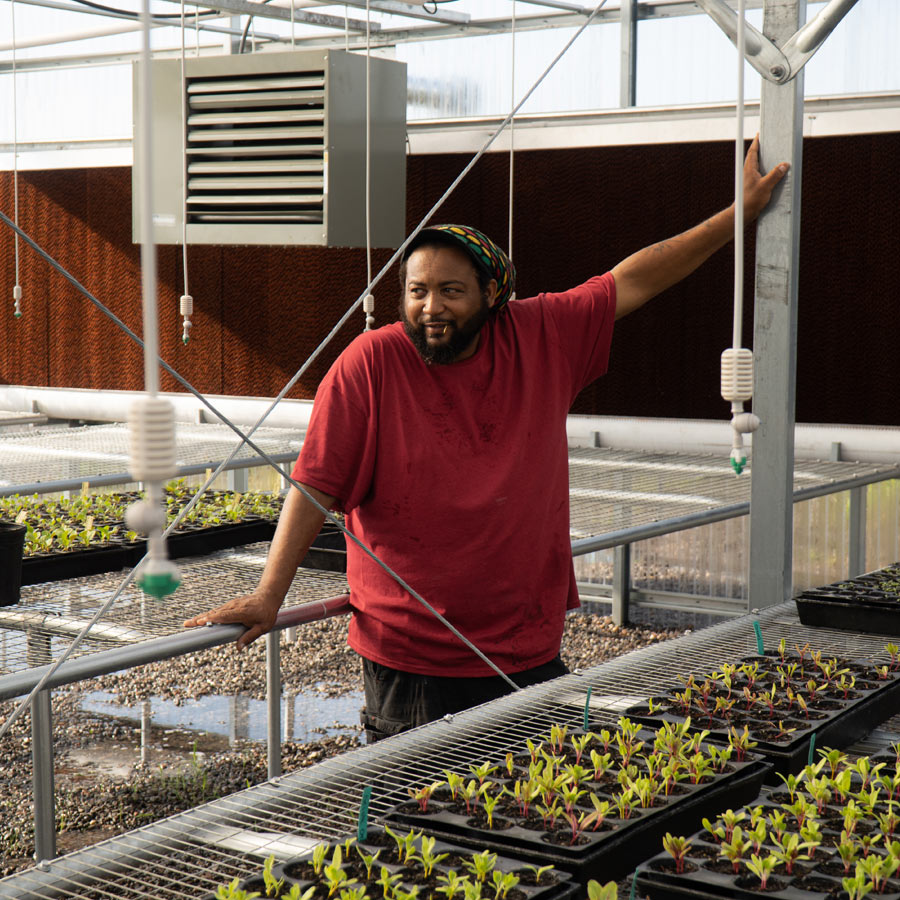 Man cultivating plants
