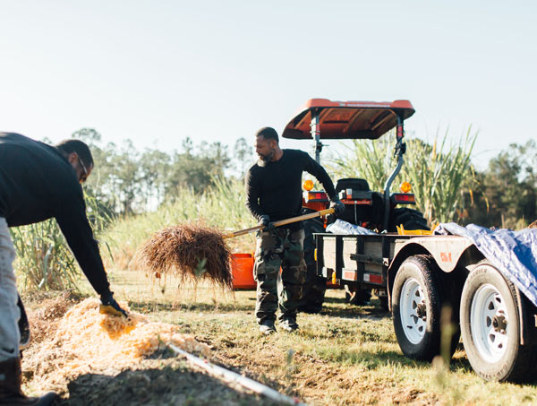 moving hay